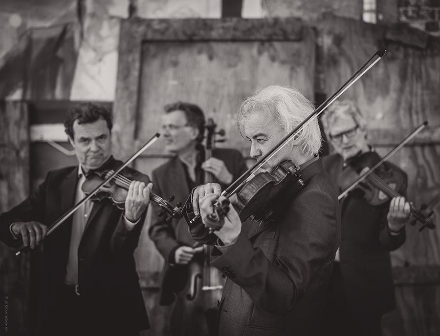 MSQ Modern String Quartet
